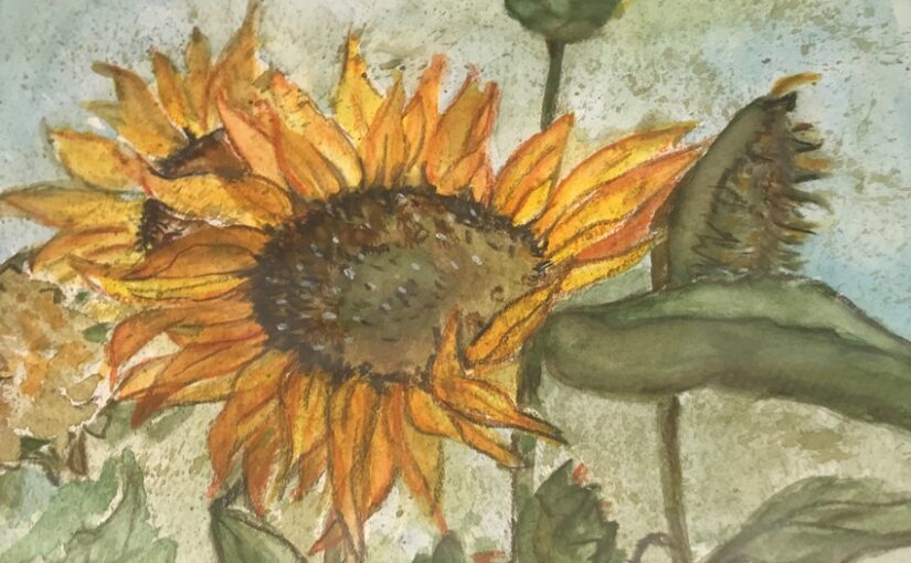 Bild Sonnenblumen aus dem Aquarellmalkurs